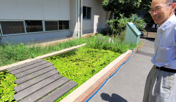일본 도쿄도 미도리초등학교 이치노제 테루아키(市之瀨 輝明) 교장이 교정안의 비오톱을 둘러보고 있다. 사진=ESG경제