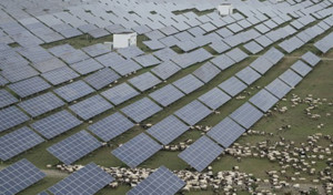 [해외브리핑] 中 화전 10년 만에 첫 감소...재생에너지가 대체 - 뉴스 썸네일 이미지